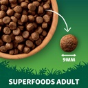 Harringtons Superfoods Turkey with Vegetables Adult Dry Dog Food 1.7kg