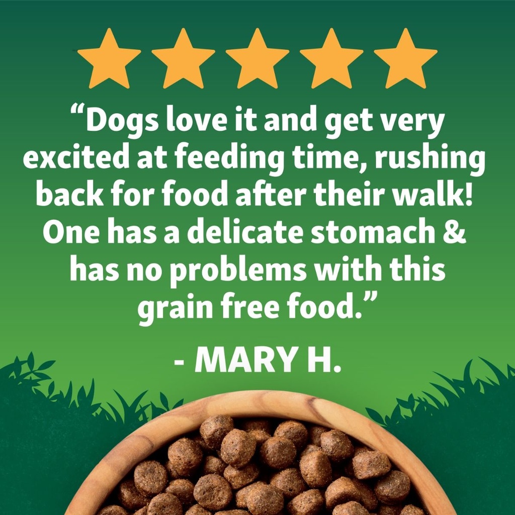 Harringtons Superfoods Turkey with Vegetables Adult Dry Dog Food 1.7kg