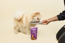 Little BigPaw Tender Duck & Vegetable Dinner Wet Dog Food 150g 