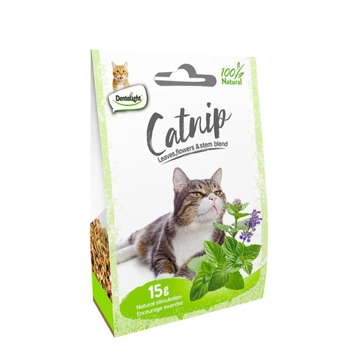[DL11568] Dentalight Natural Catnip 15gm